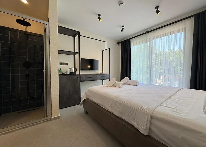 بيت شباب Arican