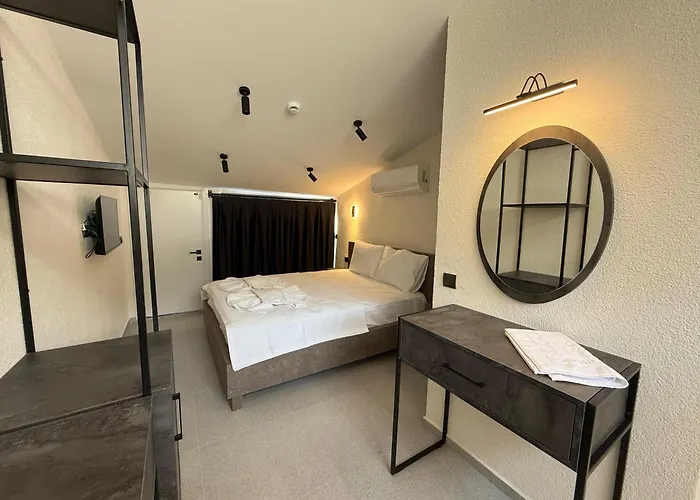 Arican 旅馆 费特希耶