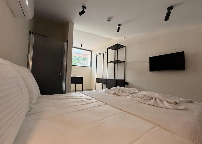 Arican 旅馆 费特希耶